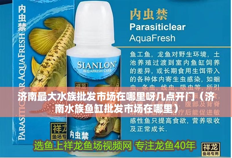 濟南最大水族批發市場在哪里呀幾點開門（濟南水族魚缸批發市場在哪里）