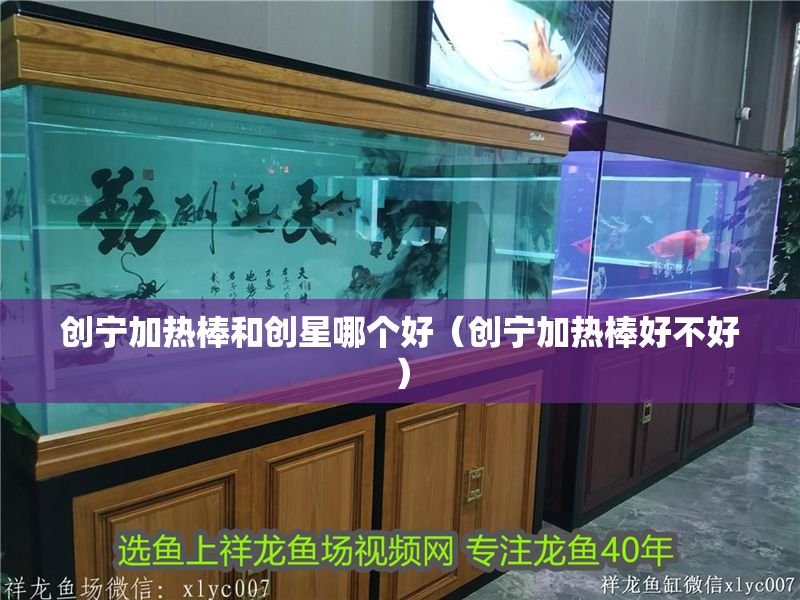 創(chuàng)寧加熱棒和創(chuàng)星哪個(gè)好（創(chuàng)寧加熱棒好不好）