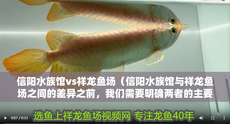 信陽水族館vs祥龍魚場（信陽水族館與祥龍魚場之間的差異之前，我們需要明確兩者的主要業務和服務對象）