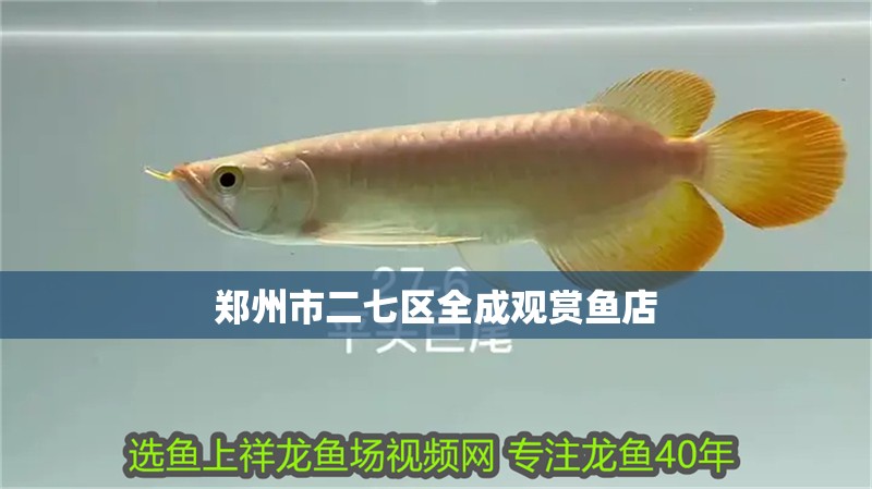 鄭州市二七區(qū)全成觀賞魚店 鄭州市二七區(qū)全成觀賞魚店 全國水族館企業(yè)名錄 第2張