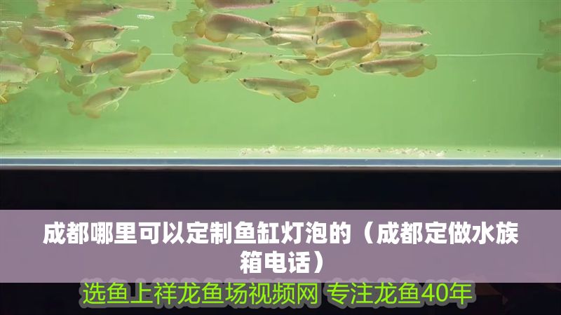 成都哪里可以定制魚缸燈泡的（成都定做水族箱電話） 成都哪里可以定制魚缸燈泡的（成都定做水族箱電話） 龍魚百科 第1張