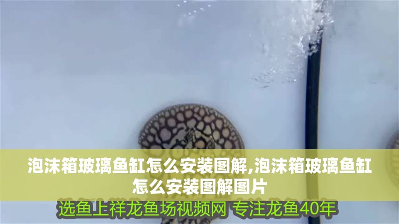 泡沫箱玻璃魚缸怎么安裝圖解,泡沫箱玻璃魚缸怎么安裝圖解圖片