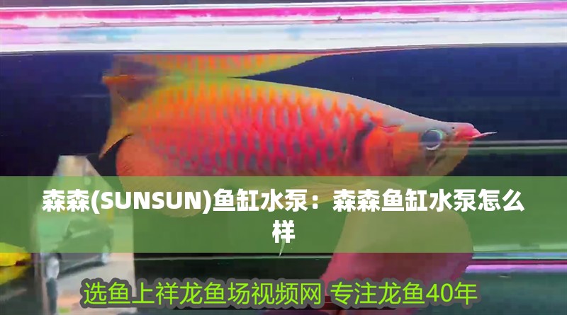 森森(SUNSUN)魚缸水泵：森森魚缸水泵怎么樣