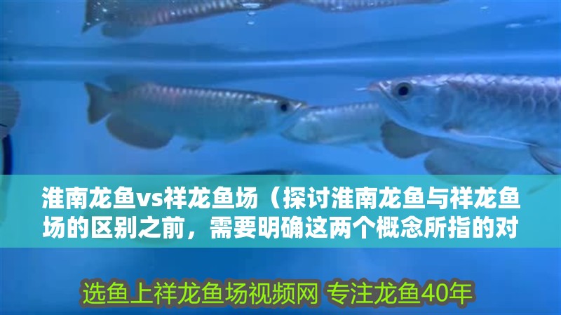 淮南龍魚vs祥龍魚場（探討淮南龍魚與祥龍魚場的區別之前，需要明確這兩個概念所指的對象）