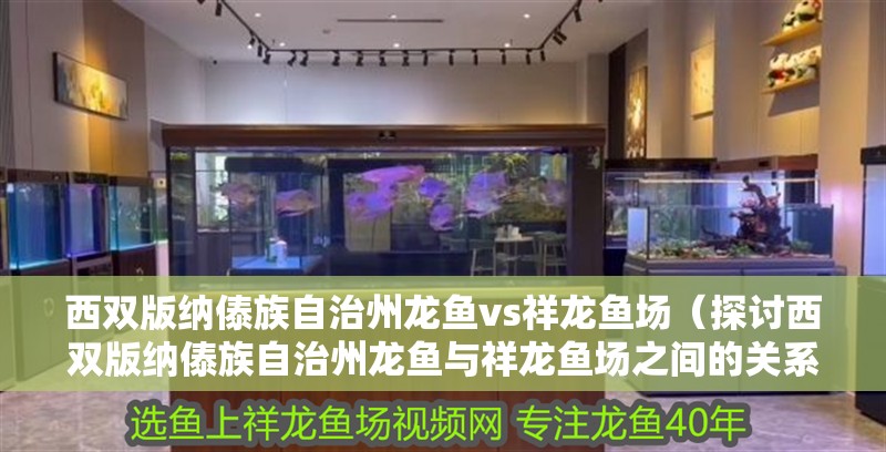 西雙版納傣族自治州龍魚vs祥龍魚場（探討西雙版納傣族自治州龍魚與祥龍魚場之間的關系）