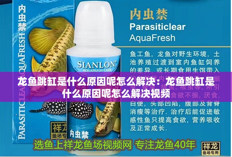 龍魚跳缸是什么原因呢怎么解決：龍魚跳缸是什么原因呢怎么解決視頻