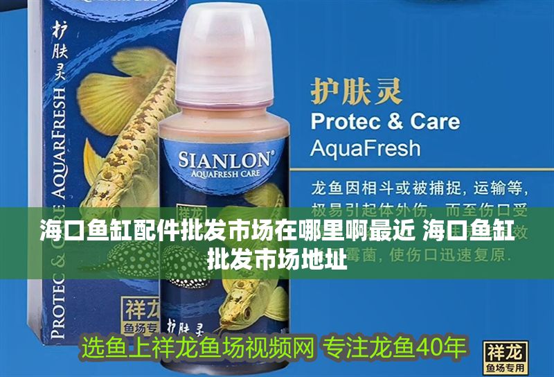 海口魚缸配件批發市場在哪里啊最近 海口魚缸批發市場地址