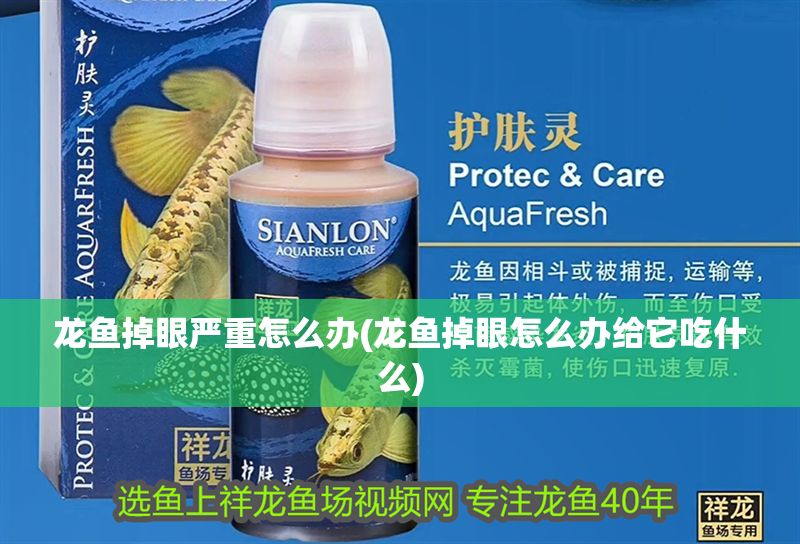 龍魚掉眼嚴重怎么辦(龍魚掉眼怎么辦給它吃什么)