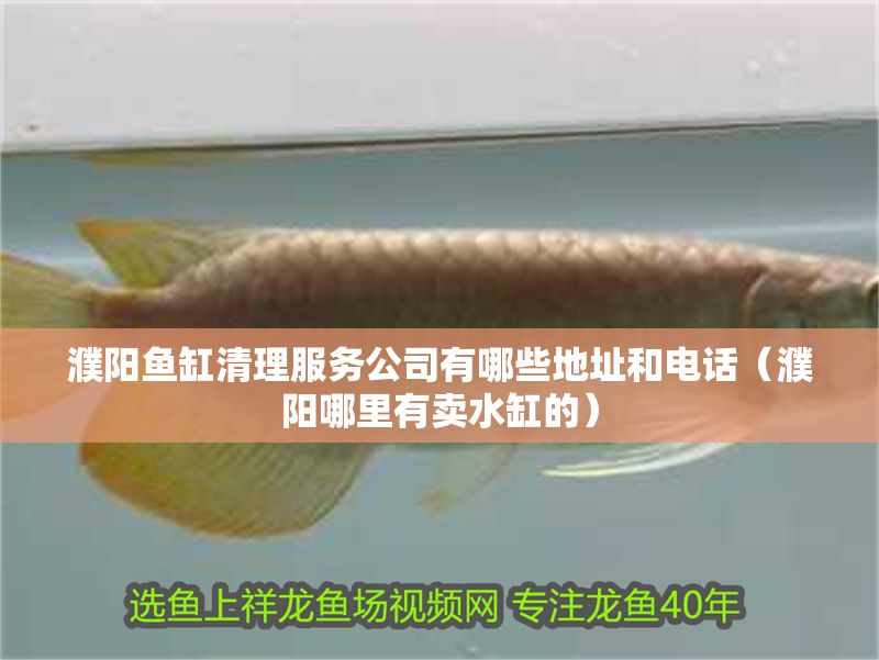 濮陽魚缸清理服務(wù)公司有哪些地址和電話（濮陽哪里有賣水缸的）