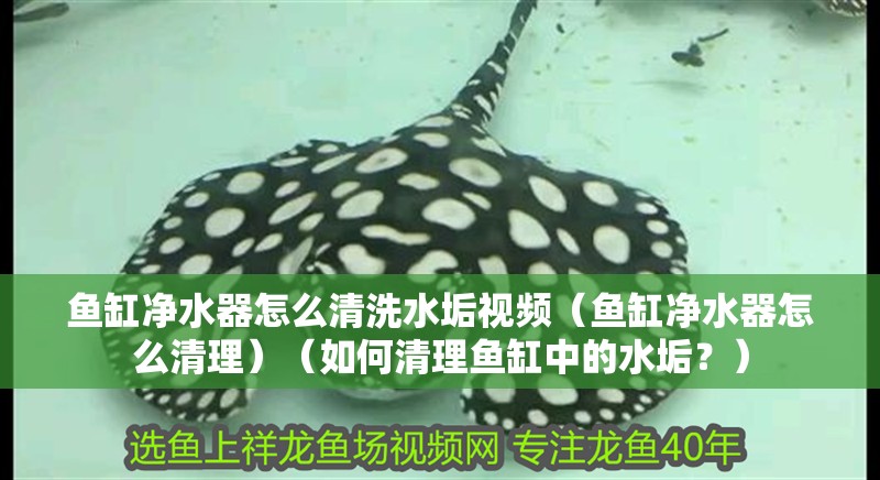 魚缸凈水器怎么清洗水垢視頻（魚缸凈水器怎么清理）（如何清理魚缸中的水垢？）