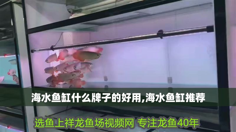 海水魚缸什么牌子的好用,海水魚缸推薦