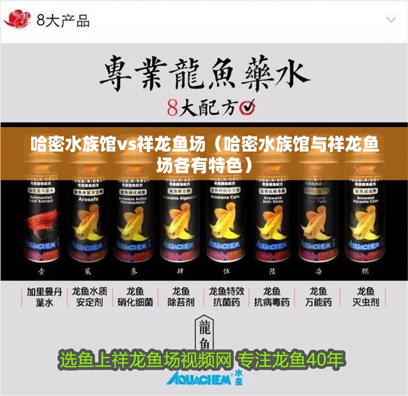 哈密水族館vs祥龍魚場（哈密水族館與祥龍魚場各有特色）