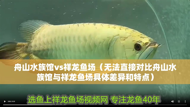舟山水族館vs祥龍魚場（無法直接對比舟山水族館與祥龍魚場具體差異和特點）