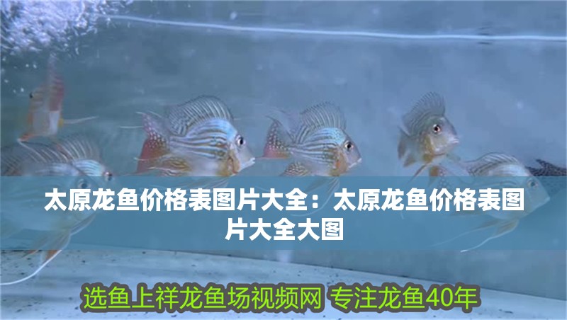 太原龍魚價格表圖片大全:太原龍魚價格表圖片大全大圖 水族問答 太原龍魚價格表圖片大全:太原龍魚價格表圖片大全大圖 太原龍魚價格表圖片大全:太原龍魚價格表圖片大全大圖 水族問答