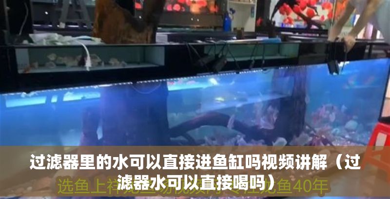過濾器里的水可以直接進魚缸嗎視頻講解（過濾器水可以直接喝嗎）