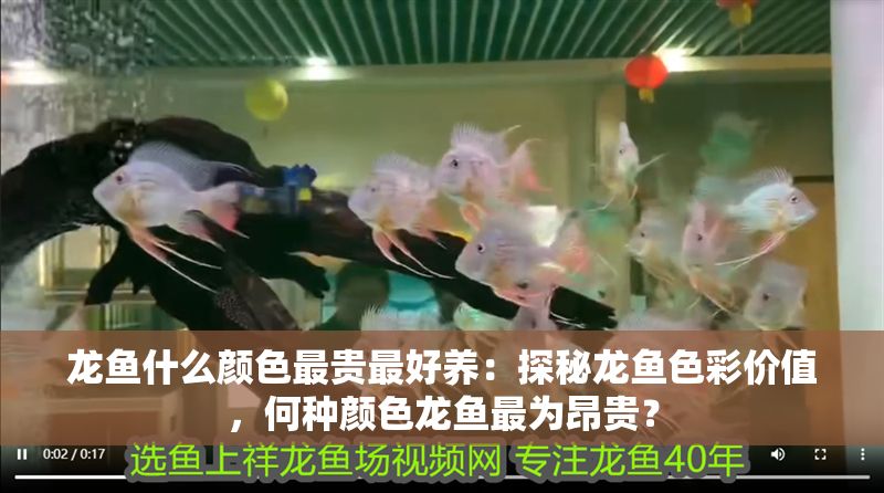 龍魚什么顏色最貴最好養：探秘龍魚色彩價值，何種顏色龍魚最為昂貴？