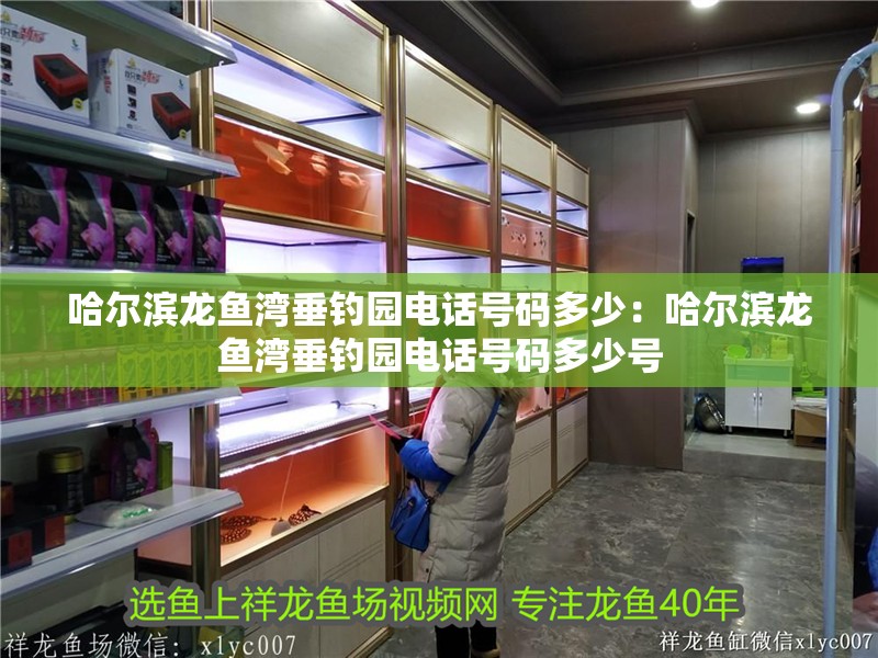 哈爾濱龍魚灣垂釣園電話號碼多少：哈爾濱龍魚灣垂釣園電話號碼多少號