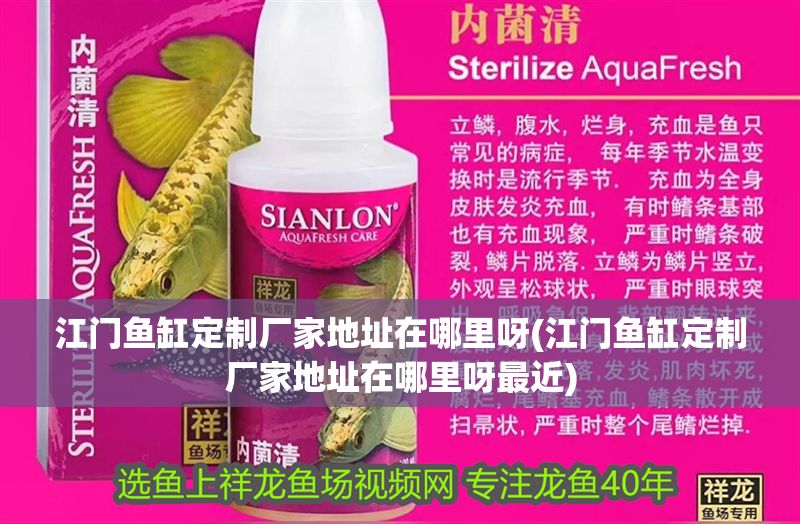 江門魚缸定制廠家地址在哪里呀(江門魚缸定制廠家地址在哪里呀最近)