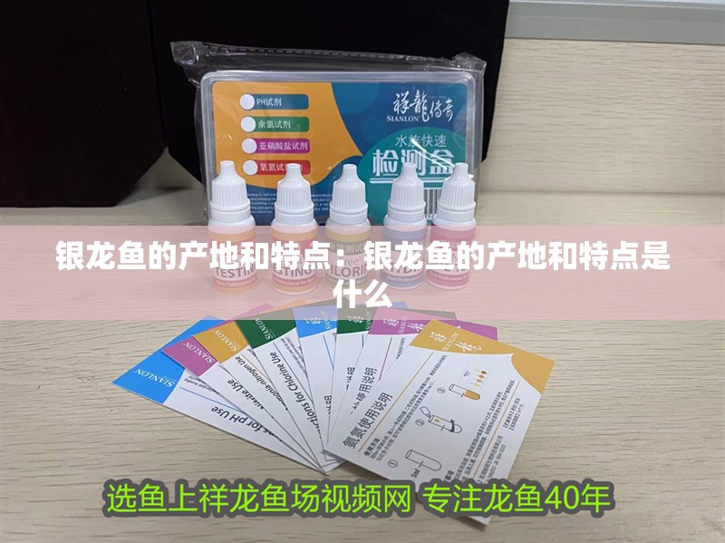 銀龍魚的產地和特點：銀龍魚的產地和特點是什么