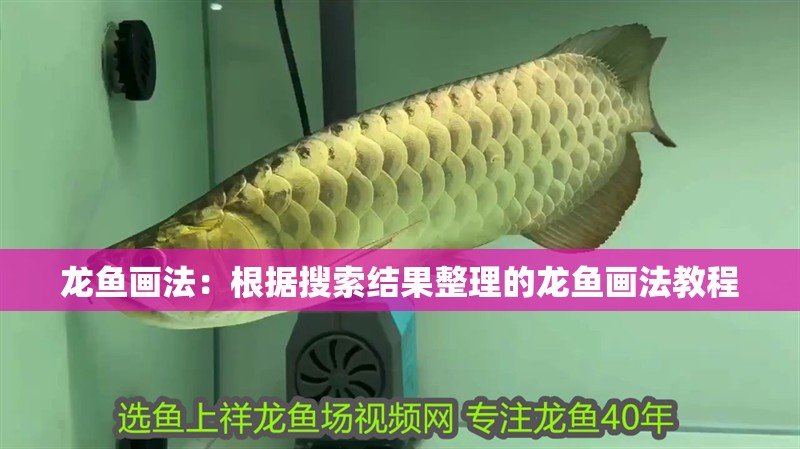 龍魚畫法：根據搜索結果整理的龍魚畫法教程 龍魚畫法：根據搜索結果整理的龍魚畫法教程 龍魚百科 第2張