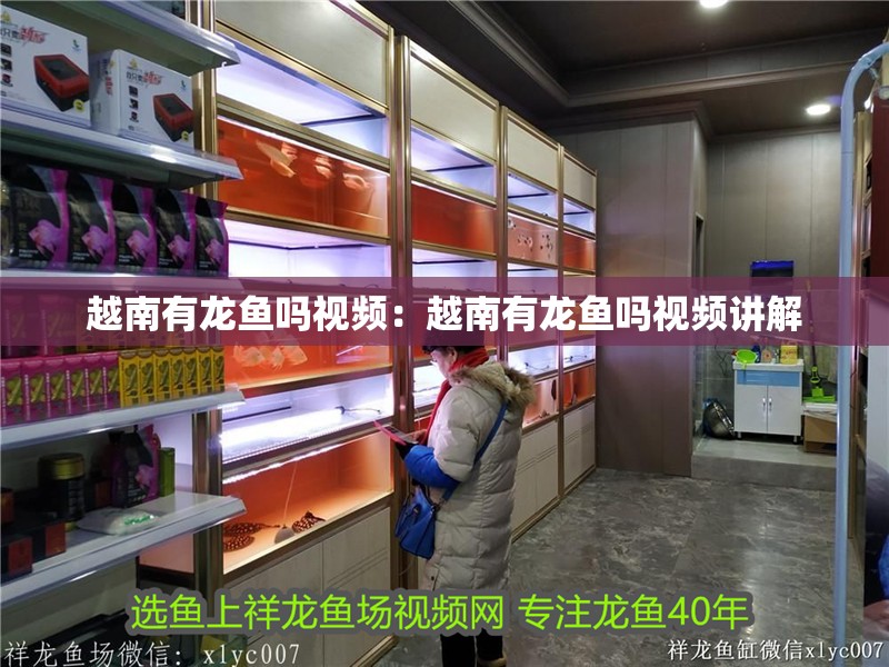 越南有龍魚嗎視頻：越南有龍魚嗎視頻講解