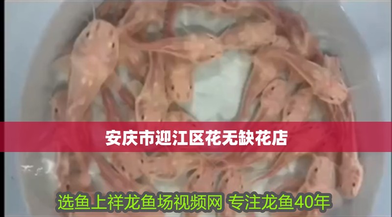 安慶市迎江區花無缺花店 安慶市迎江區花無缺花店 全國水族館企業名錄 第2張