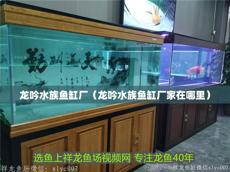 龍吟水族魚缸廠（龍吟水族魚缸廠家在哪里）