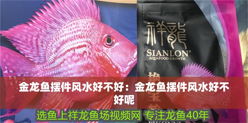 金龍魚擺件風(fēng)水好不好：金龍魚擺件風(fēng)水好不好呢