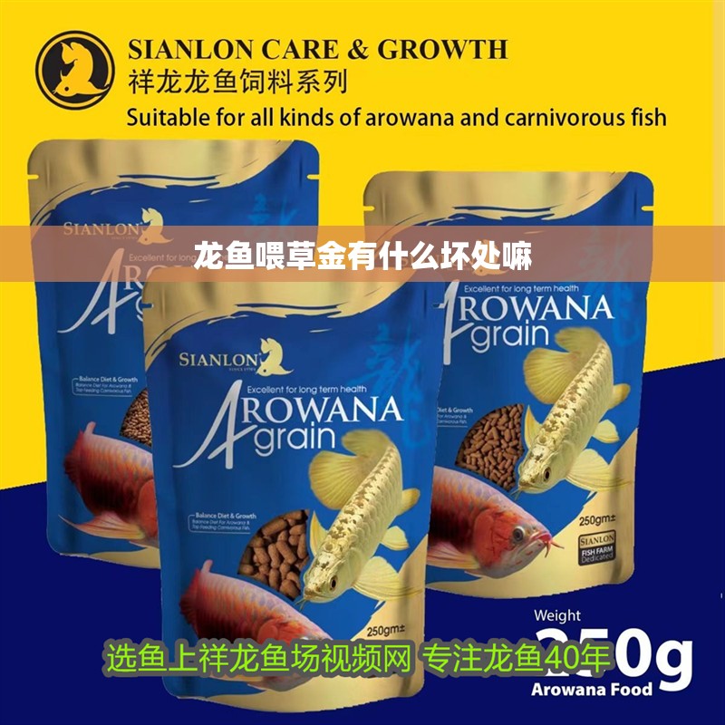 龍魚喂草金有什么壞處嘛