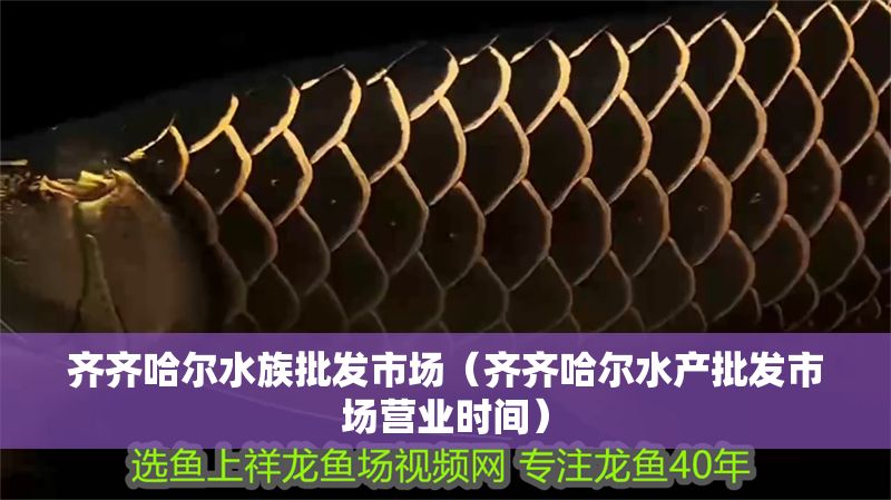 齊齊哈爾水族批發(fā)市場(齊齊哈爾水產(chǎn)批發(fā)市場營業(yè)時間) 龍魚百科 第1張 齊齊哈爾水族批發(fā)市場(齊齊哈爾水產(chǎn)批發(fā)市場營業(yè)時間) 齊齊哈爾水族批發(fā)市場(齊齊哈爾水產(chǎn)批發(fā)市場營業(yè)時間) 龍魚百科 第1張