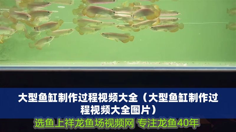 大型魚缸制作過程視頻大全（大型魚缸制作過程視頻大全圖片）