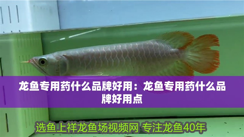 龍魚專用藥什么品牌好用:龍魚專用藥什么品牌好用點 水族問答 龍魚專用藥什么品牌好用:龍魚專用藥什么品牌好用點 龍魚專用藥什么品牌好用:龍魚專用藥什么品牌好用點 水族問答