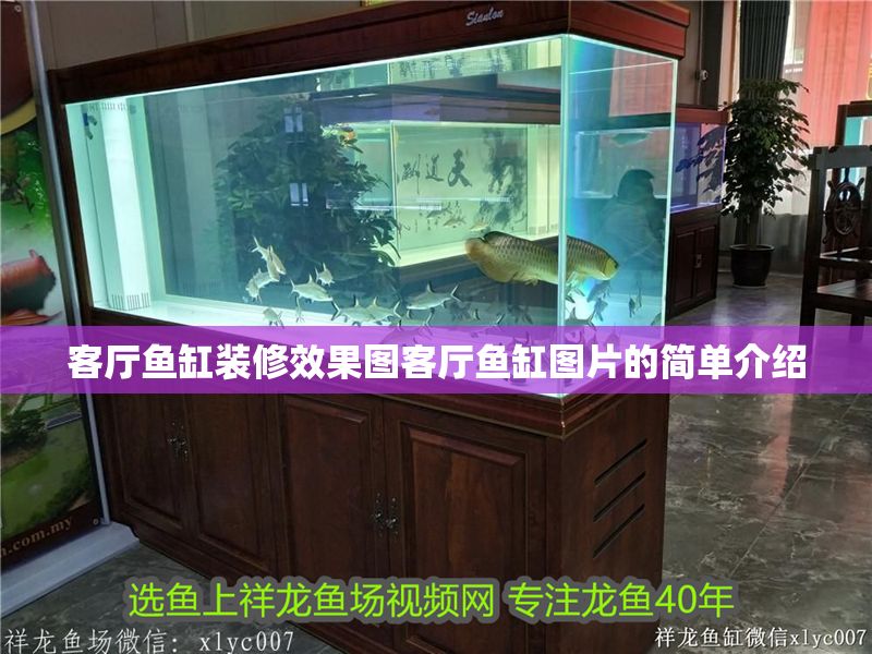 客廳魚缸裝修效果圖客廳魚缸圖片的簡單介紹
