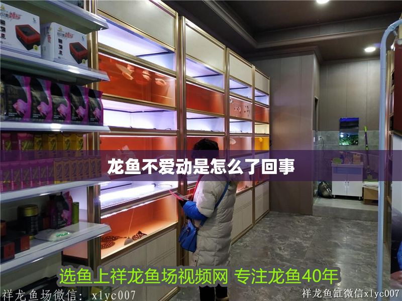 龍魚不愛動(dòng)是怎么了回事