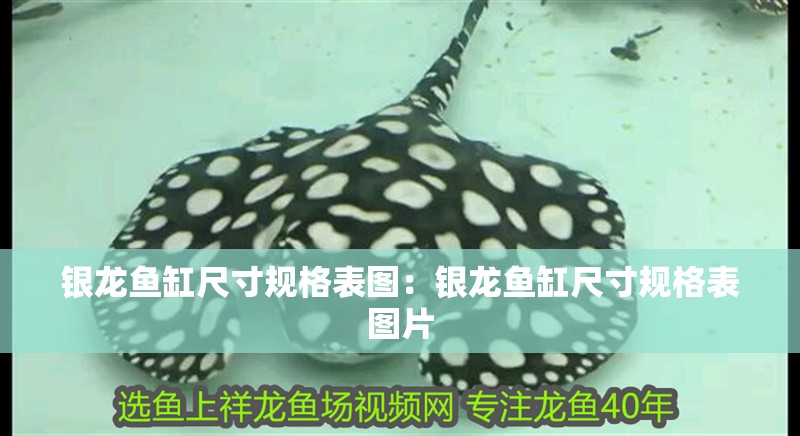 銀龍魚缸尺寸規格表圖：銀龍魚缸尺寸規格表圖片