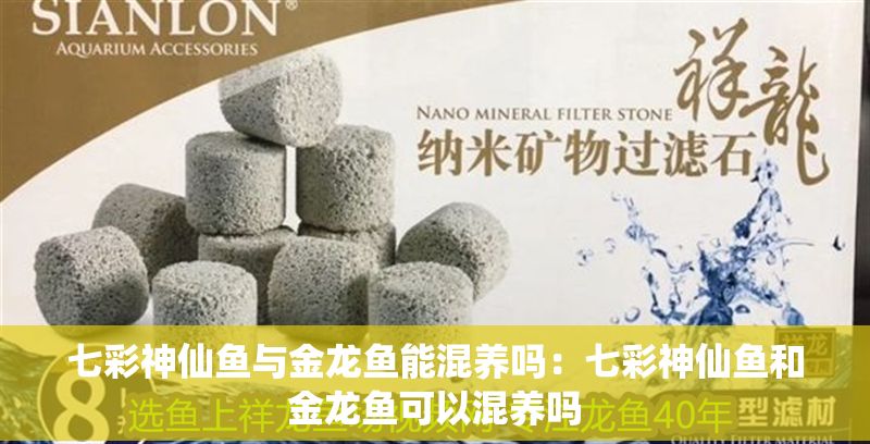 七彩神仙魚與金龍魚能混養(yǎng)嗎：七彩神仙魚和金龍魚可以混養(yǎng)嗎