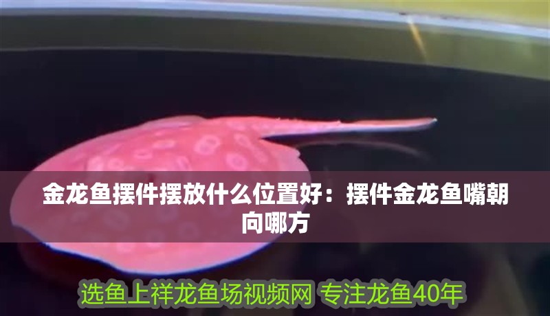 金龍魚擺件擺放什么位置好：擺件金龍魚嘴朝向哪方 金龍魚擺件擺放什么位置好：擺件金龍魚嘴朝向哪方 水族問答