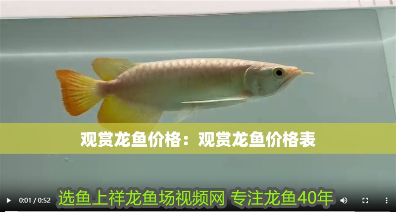 觀賞龍魚價(jià)格：觀賞龍魚價(jià)格表 觀賞龍魚價(jià)格：觀賞龍魚價(jià)格表 水族問答