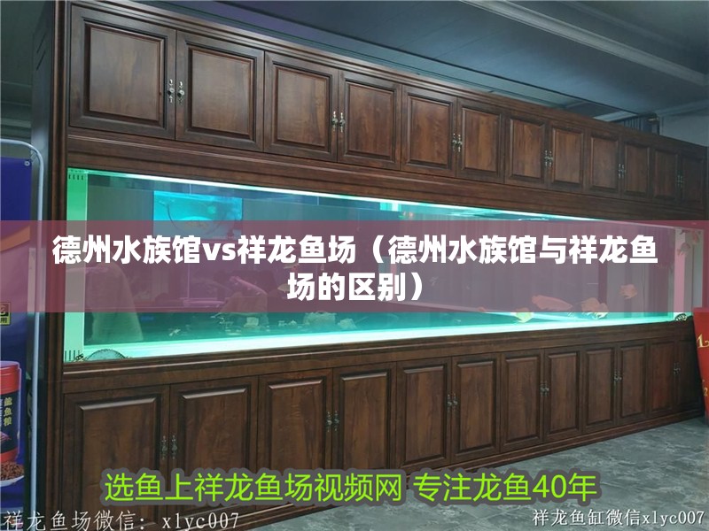 <strong><mark>德州</mark></strong>水族館vs祥龍魚場（<strong><mark>德州</mark></strong>水族館與祥龍魚場的區別）