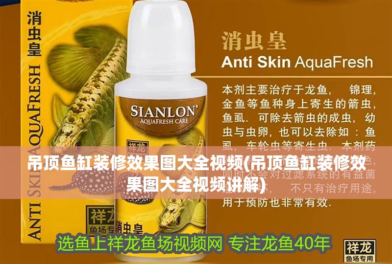 吊頂魚缸裝修效果圖大全視頻(吊頂魚缸裝修效果圖大全視頻講解)