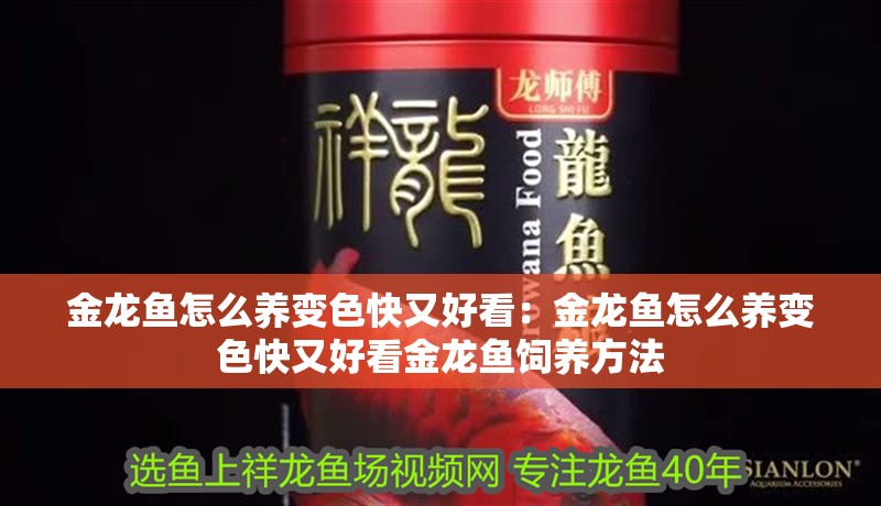 金龍魚怎么養變色快又好看：金龍魚怎么養變色快又好看金龍魚飼養方法