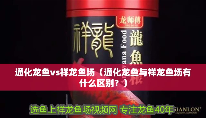 通化龍魚vs祥龍魚場(chǎng)（通化龍魚與祥龍魚場(chǎng)有什么區(qū)別？） 通化龍魚vs祥龍魚場(chǎng)（通化龍魚與祥龍魚場(chǎng)有什么區(qū)別？） 全國(guó)水族館企業(yè)名錄 第2張