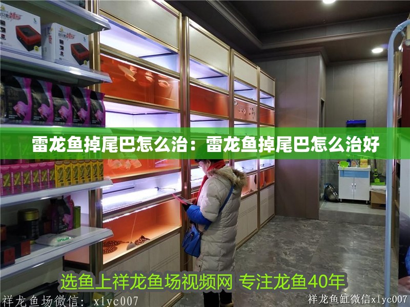 雷龍魚掉尾巴怎么治：雷龍魚掉尾巴怎么治好