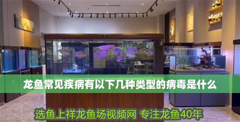 龍魚常見疾病有以下幾種類型的病毒是什么