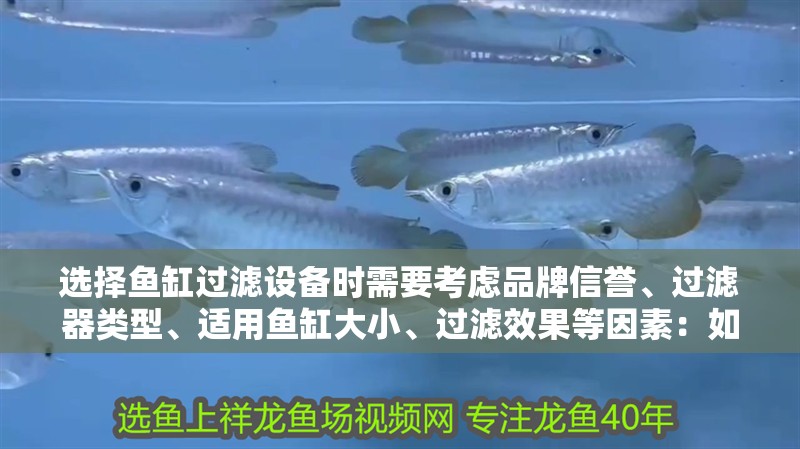 選擇魚缸過濾設備時需要考慮品牌信譽、過濾器類型、適用魚缸大小、過濾效果等因素：如何選擇合適的水族過濾器