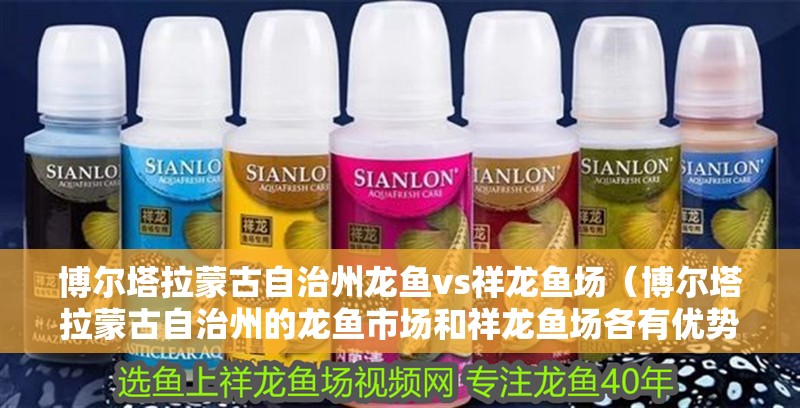 博爾塔拉蒙古自治州龍魚vs祥龍魚場（博爾塔拉蒙古自治州的龍魚市場和祥龍魚場各有優勢）