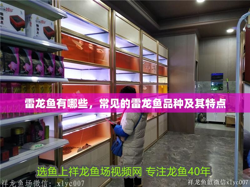 雷龍魚有哪些，常見的雷龍魚品種及其特點
