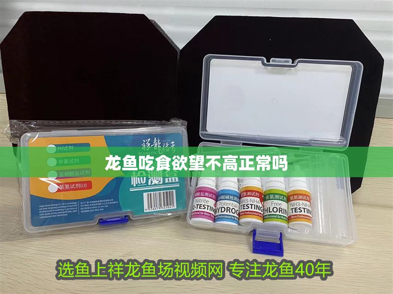 龍魚吃食欲望不高正常嗎