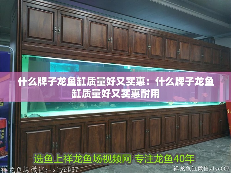 什么牌子龍魚缸質(zhì)量好又實(shí)惠：什么牌子龍魚缸質(zhì)量好又實(shí)惠耐用
