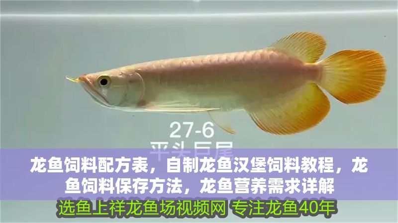 龍魚飼料配方表，自制龍魚漢堡飼料教程，龍魚飼料保存方法，龍魚營養需求詳解
